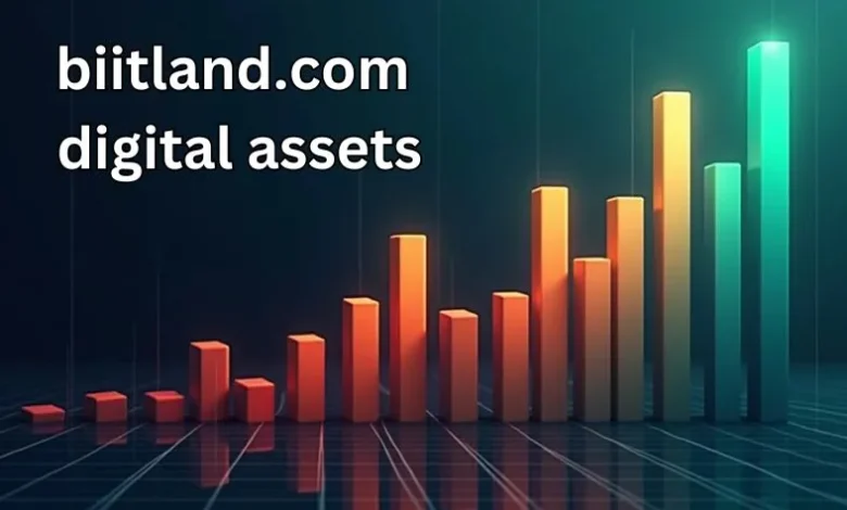 Biitland.com digital assets